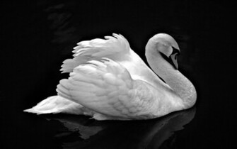 HD Wallpaper Beautiful Pictures