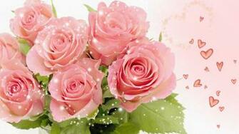 Pretty Pink Rose Wallpaper Colors