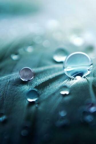 Top My iPhone Wallpaper HD Nature Desktop