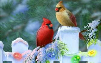 Bird Wallpaper Which Is Under The Birds