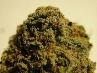 Sour Og Kush HD Wallpaper For Your Desktop Background Or