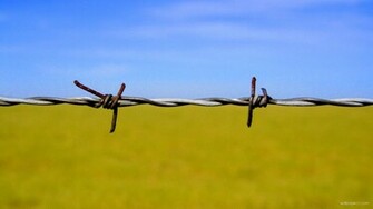 Pin Barb Wire HD Desktop Wallpaper High Definition Fullscreen Mobile