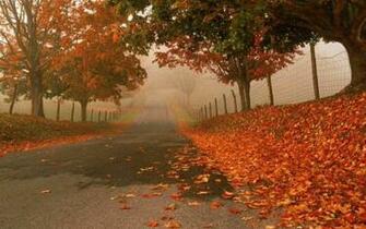 Wallpapereast Wallpaper Nature
