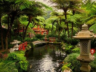 Photography Oriental Wallpaper