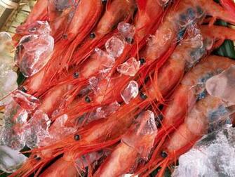 Seafood Wallpaper Art Print