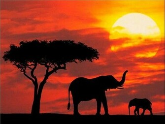 Wild World Unduh Koleksi Gambar Gratis Mobogenie
