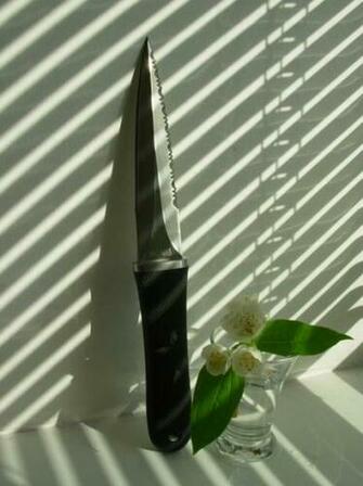 Pentagon Seki Japan With Flower Vase Wallpaper Skaarj Guns Ru Forums
