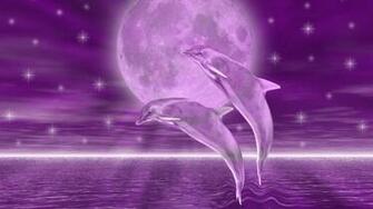 Google Store Apps Details Id At Smartapps Wallpaper Dolphins