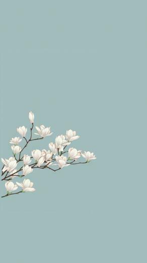 iPhone Lock Sreen Wallpaper HD From Instagram Cute