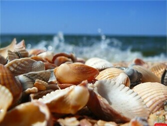 Beautiful Natural Sea Spy HD Wallpaper E Entertainment