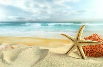 Pics Photos Starfish Wallpaper Background