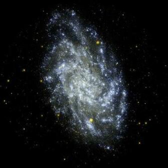 Triangulum Galaxy Science Buzz