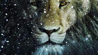 Narnia Aslan Wallpaper