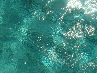 Pool Water Is Cool