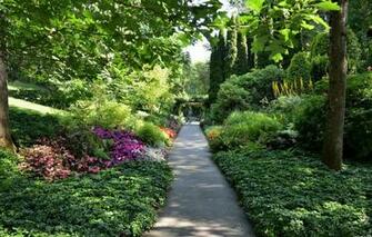 Wallpaper Road Greens The Sky Flowers Moss Garden Bushes