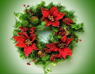 Couronne Poinsettia Wallpaper