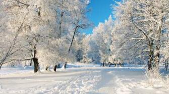 HD Widescreen Wallpaper Right Click The Select Set As