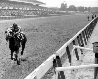 Horse Racing Secretariat