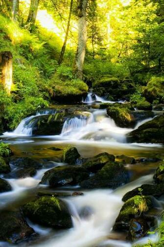 Black Forest Germany iPhone 4s Wallpaper
