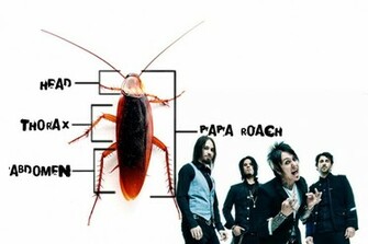 Papa Roach Wallpaper By Zenfiro