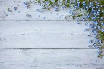Life Magic Box Soft Fabric Cool Background Blue Flower Wood