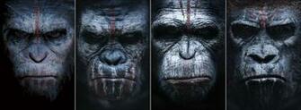 War For The Planet Of Apes Wallpaper High Quality