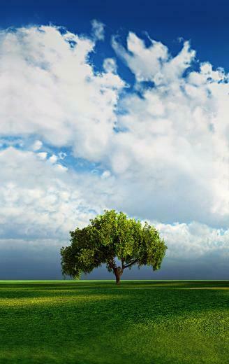 Large Background Desktop Vertical Wallpaper For Portrait Monitors