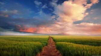 Widescreen Wallpaper HD Computer