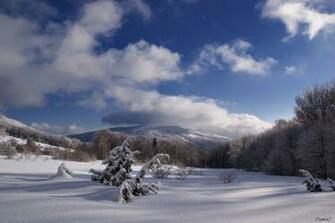 Winter Weather Wallpaper