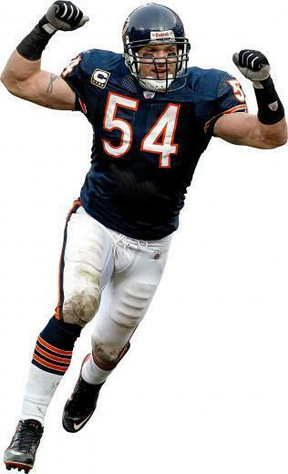 Brewster Wallcovering Chicago Bears Brian Urlacher Fathead Jr