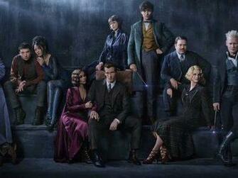 Dumbledore Is Coming For You Grindelwald Fantastic