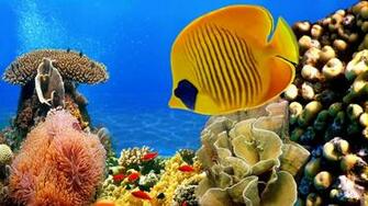 Ocean Desktop Background Wallpaper High Definition Quality