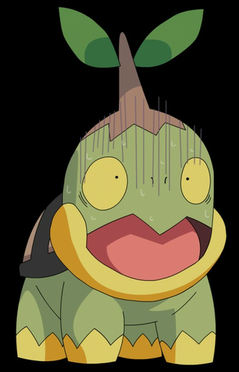 Turtwig Surprise By Cat333pokemon