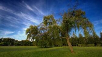 Collection Most Beautiful Natural Wallpaper Post