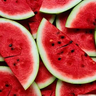 Watermelon Cupcakes Wallpaper