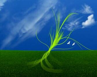 Cool Wallpaper Windows Nature