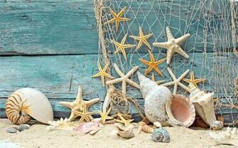 Wallpaper Seashells Starfish Net Wood Marine