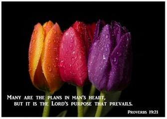 Shalom Eagles Ministry Sunday 21st Of God Is In Control Proverbs