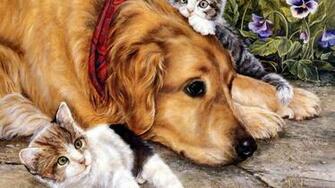 Golden Retriever HD Wallpaper High Definition Quality