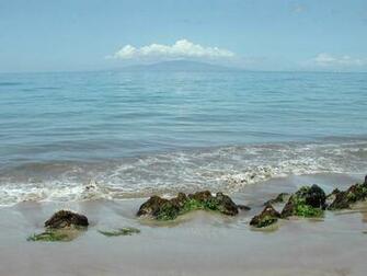 Maui Screen Savers