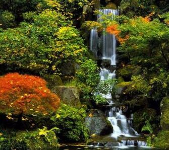 Waterfall Screensavers Hot Girls Wallpaper