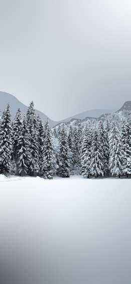 Snow iPhone Wallpaper