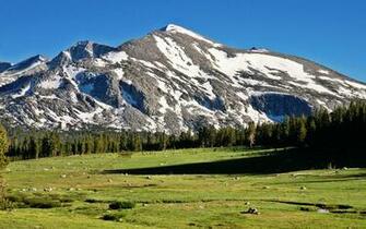 Yosemite Wallpaper Dana Meadows And Mammoth Peak