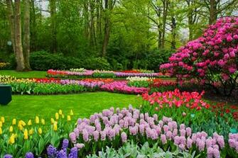 Spring Desktop Background