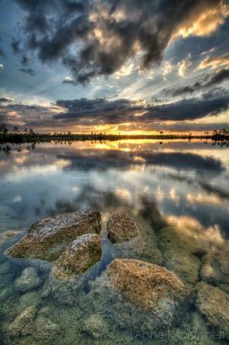 Annemckinnell Comthe Portrait Orientation Has