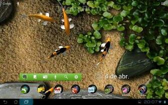 Koi Live Wallpaper Y Otros De Peces