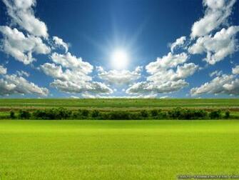 Field Wallpaper Best HD