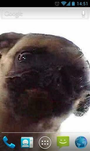 Dog Licker Live Wallpaper Is An Adorable Licking