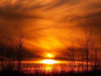 Forest Fire Wallpaper