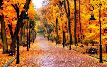Autumn Wallpaper Beautiful Fall Leaves